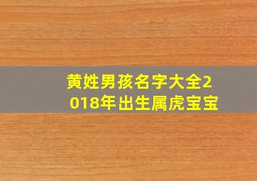 黄姓男孩名字大全2018年出生属虎宝宝