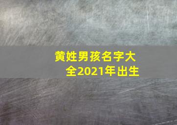 黄姓男孩名字大全2021年出生