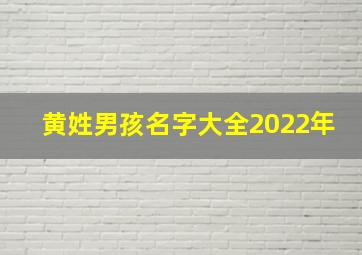 黄姓男孩名字大全2022年