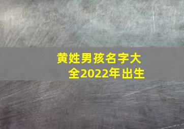 黄姓男孩名字大全2022年出生