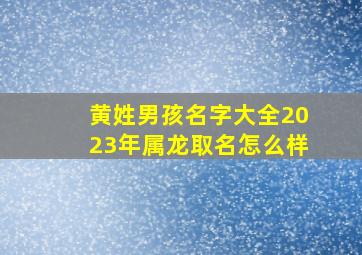 黄姓男孩名字大全2023年属龙取名怎么样