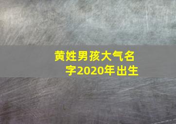 黄姓男孩大气名字2020年出生