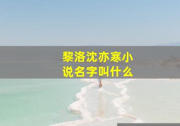 黎洛沈亦寒小说名字叫什么