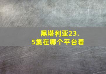 黑塔利亚23.5集在哪个平台看