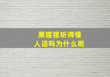 黑猩猩听得懂人话吗为什么呢