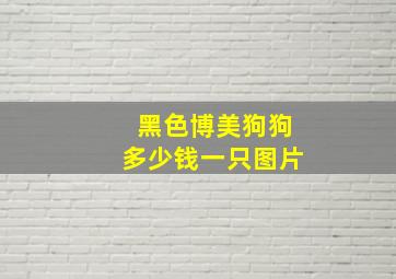 黑色博美狗狗多少钱一只图片