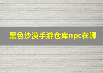 黑色沙漠手游仓库npc在哪