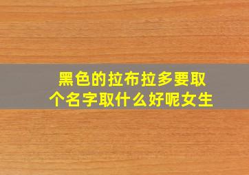 黑色的拉布拉多要取个名字取什么好呢女生