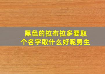 黑色的拉布拉多要取个名字取什么好呢男生