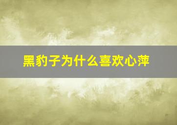 黑豹子为什么喜欢心萍