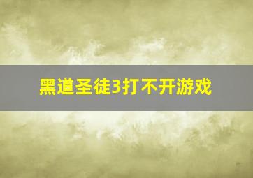 黑道圣徒3打不开游戏