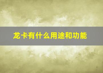 龙卡有什么用途和功能