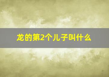 龙的第2个儿子叫什么